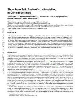 Show from Tell: Audio-Visual Modelling in Clinical Settings