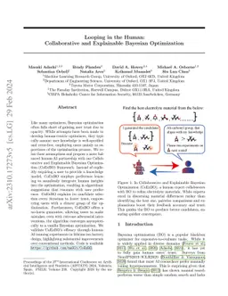 Looping in the Human Collaborative and Explainable Bayesian Optimization