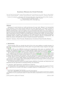 Invariance Measures for Neural Networks
