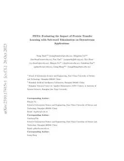 PETA: Evaluating the Impact of Protein Transfer Learning with Sub-word
  Tokenization on Downstream Applications