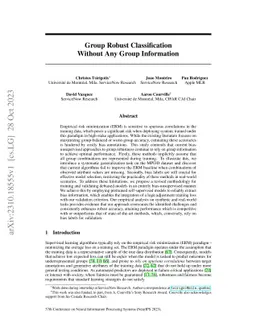 Group Robust Classification Without Any Group Information