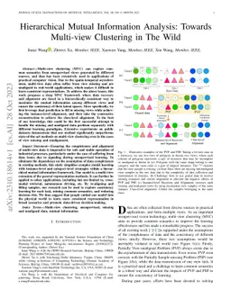 Hierarchical Mutual Information Analysis: Towards Multi-view Clustering
  in The Wild