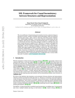 SSL Framework for Causal Inconsistency between Structures and Representations