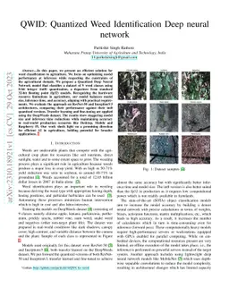 QWID: Quantized Weed Identification Deep neural network