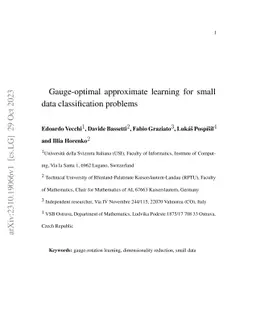 Gauge-optimal approximate learning for small data classification
  problems
