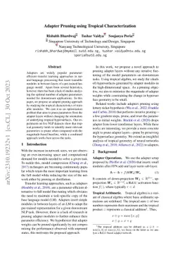 Adapter Pruning using Tropical Characterization