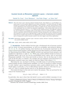 Invariant kernels on Riemannian symmetric spaces: a harmonic-analytic
  approach