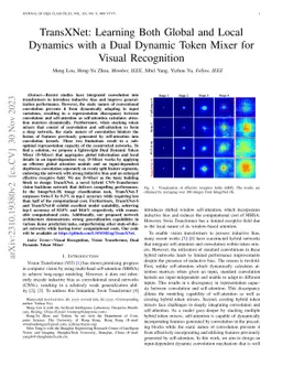 TransXNet: Learning Both Global and Local Dynamics with a Dual Dynamic Token Mixer for Visual Recognition
