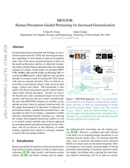 MENTOR: Human Perception-Guided Pretraining for Increased Generalization