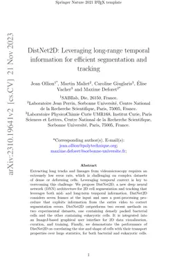 DistNet2D: Leveraging long-range temporal information for efficient
  segmentation and tracking