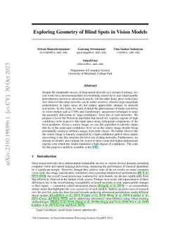 Exploring Geometry of Blind Spots in Vision Models
