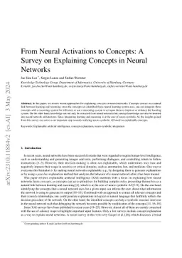From Neural Activations to Concepts: A Survey on Explaining Concepts in
  Neural Networks