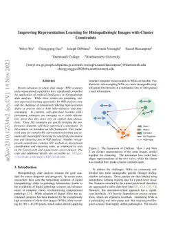 Improving Representation Learning for Histopathologic Images with
  Cluster Constraints