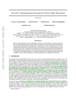 ClusT3: Information Invariant Test-Time Training