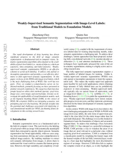 Weakly-Supervised Semantic Segmentation with Image-Level Labels: from
  Traditional Models to Foundation Models