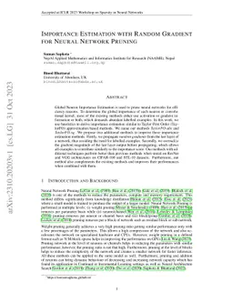 Importance Estimation with Random Gradient for Neural Network Pruning
