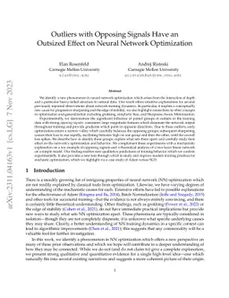Outliers with Opposing Signals Have an Outsized Effect on Neural Network
  Optimization