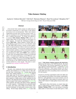 Video Instance Matting