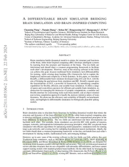 A differentiable brain simulator bridging brain simulation and
  brain-inspired computing