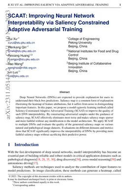 SCAAT: Improving Neural Network Interpretability via Saliency
  Constrained Adaptive Adversarial Training
