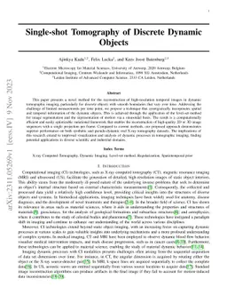 Single-shot Tomography of Discrete Dynamic Objects