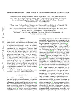 Transformer-based Model for Oral Epithelial Dysplasia Segmentation