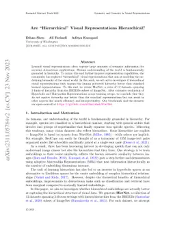 Are "Hierarchical" Visual Representations Hierarchical?