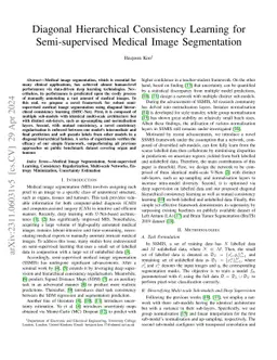 Diagonal Hierarchical Consistency Learning for Semi-supervised Medical
  Image Segmentation