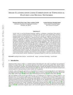 Image Classification using Combination of Topological Features and
  Neural Networks