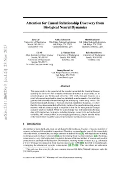 Attention for Causal Relationship Discovery from Biological Neural
  Dynamics