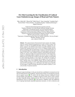 Few Shot Learning for the Classification of Confocal Laser
  Endomicroscopy Images of Head and Neck Tumors