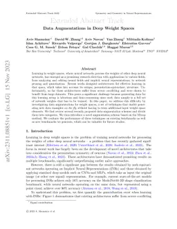 Data Augmentations in Deep Weight Spaces