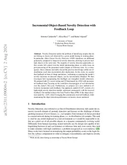 Incremental Object-Based Novelty Detection with Feedback Loop