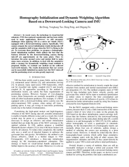 Homography Initialization and Dynamic Weighting Algorithm Based on a
  Downward-Looking Camera and IMU