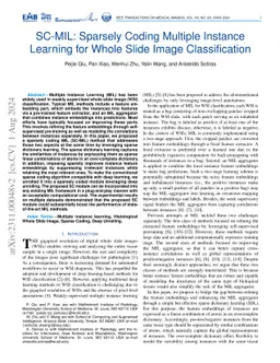 SC-MIL: Sparsely Coded Multiple Instance Learning for Whole Slide Image
  Classification