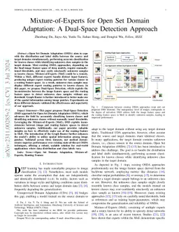 Mixture-of-Experts for Open Set Domain Adaptation: A Dual-Space
  Detection Approach