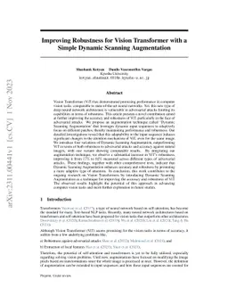 Improving Robustness for Vision Transformer with a Simple Dynamic
  Scanning Augmentation