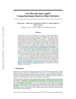Are These the Same Apple? Comparing Images Based on Object Intrinsics