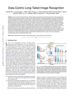 Data-Centric Long-Tailed Image Recognition