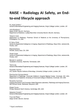 RAISE -- Radiology AI Safety, an End-to-end lifecycle approach