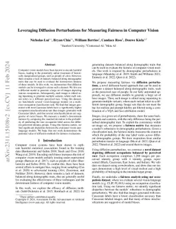 Leveraging Diffusion Perturbations for Measuring Fairness in Computer
  Vision