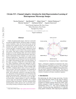 ChAda-ViT : Channel Adaptive Attention for Joint Representation Learning
  of Heterogeneous Microscopy Images