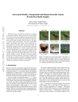 Adversarial Doodles: Interpretable and Human-drawable Attacks Provide
  Describable Insights