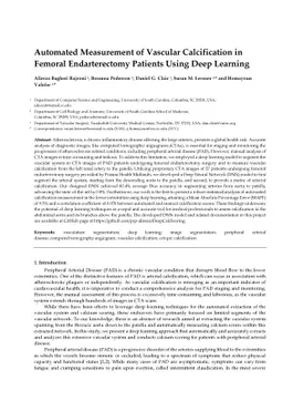 Automated Measurement of Vascular Calcification in Femoral
  Endarterectomy Patients Using Deep Learning