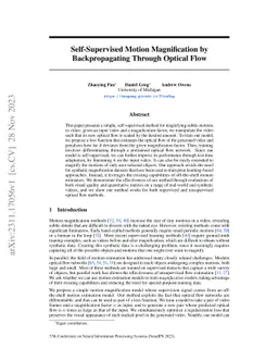 Self-Supervised Motion Magnification by Backpropagating Through Optical
  Flow