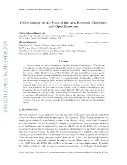 (Ir)rationality in AI: State of the Art, Research Challenges and Open Questions