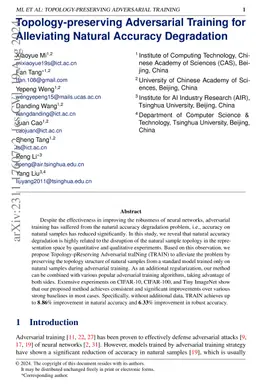 Topology-Preserving Adversarial Training