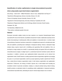 Quantification of cardiac capillarization in single-immunostained
  myocardial slices using weakly supervised instance segmentation