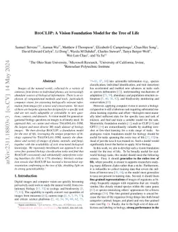 BioCLIP: A Vision Foundation Model for the Tree of Life