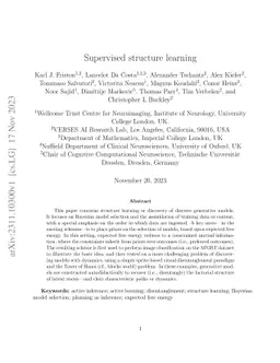 Supervised structure learning